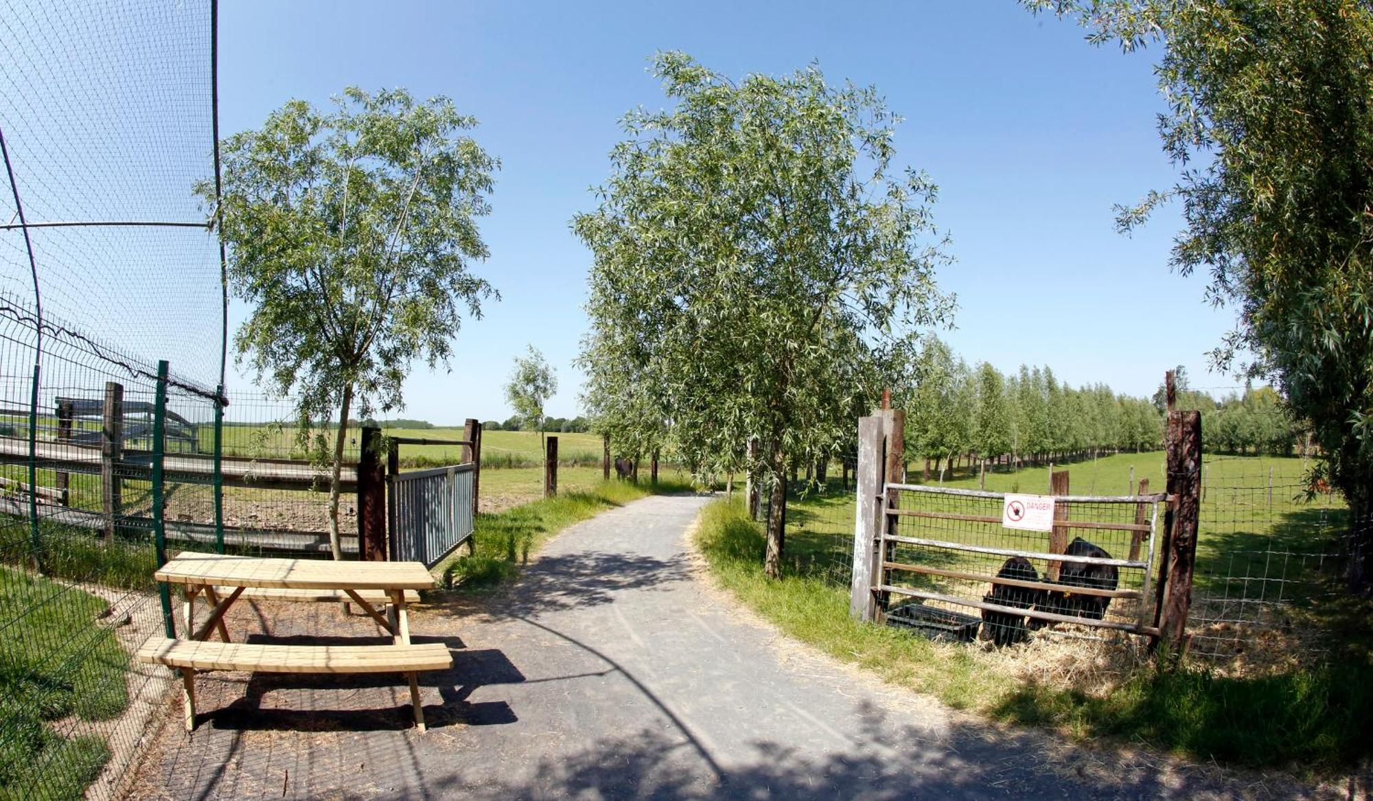 La Ligule Villa Mignault Eksteriør billede