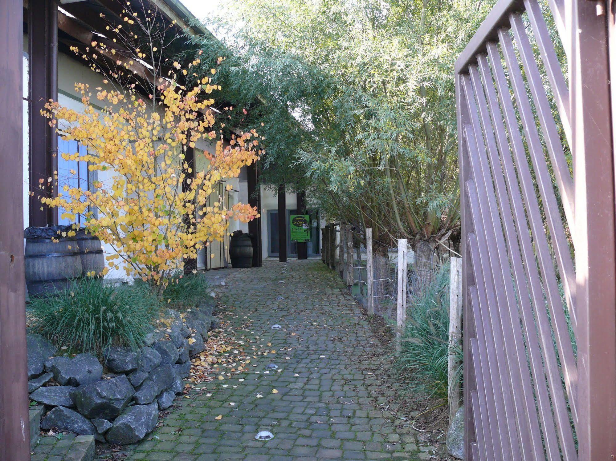 La Ligule Villa Mignault Eksteriør billede