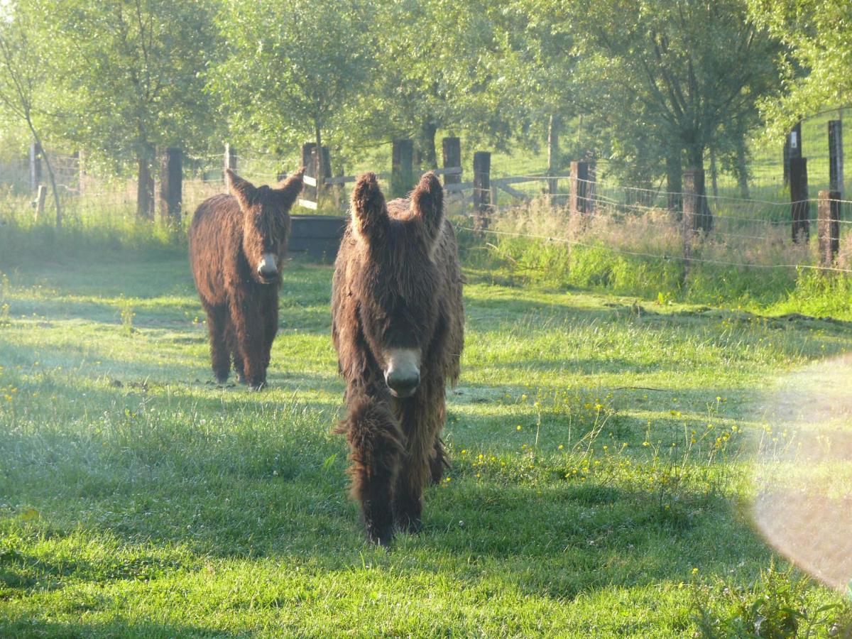 La Ligule Villa Mignault Eksteriør billede