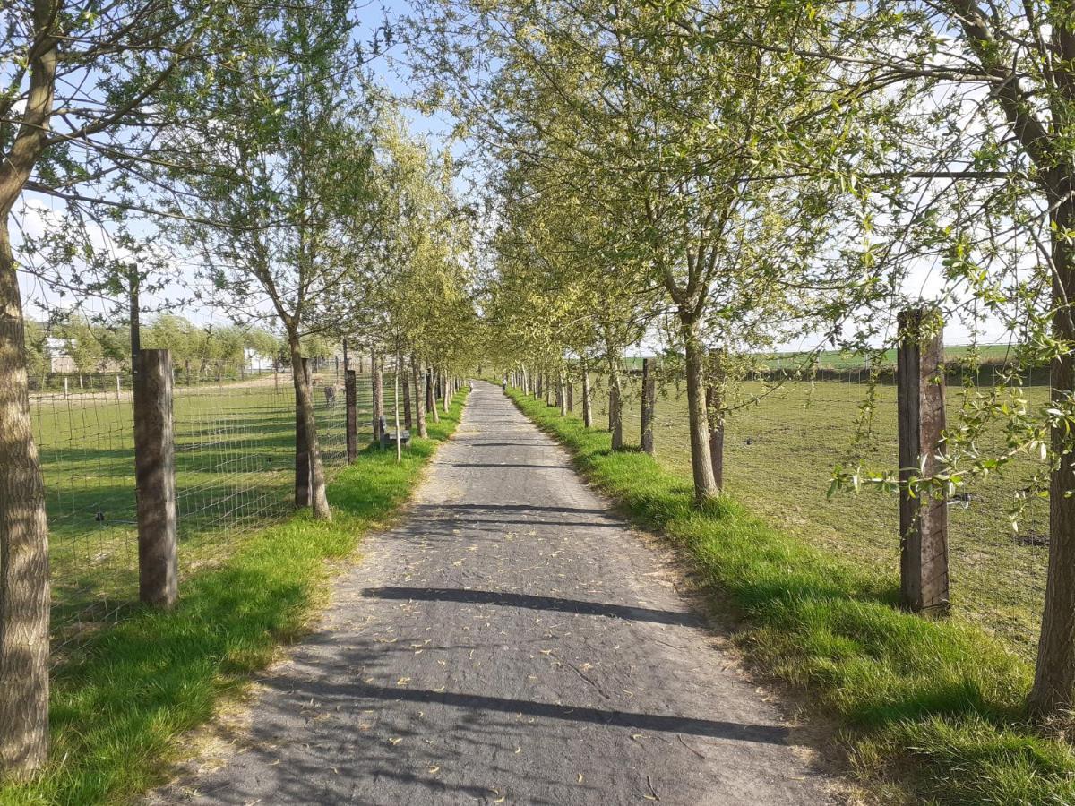 La Ligule Villa Mignault Eksteriør billede